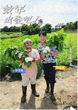 极限挑战 粉色影视综艺